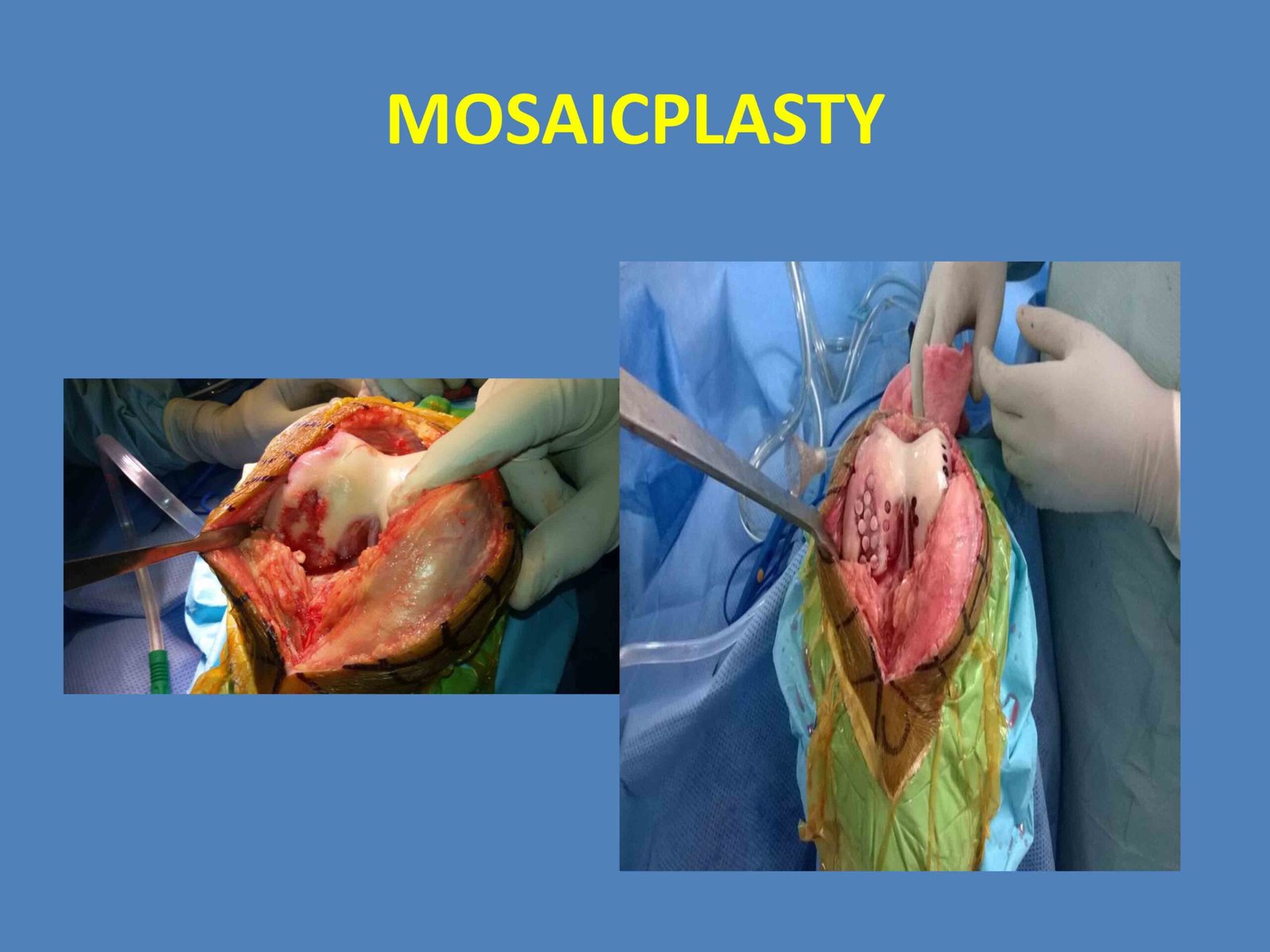 PowerPoint Presentation